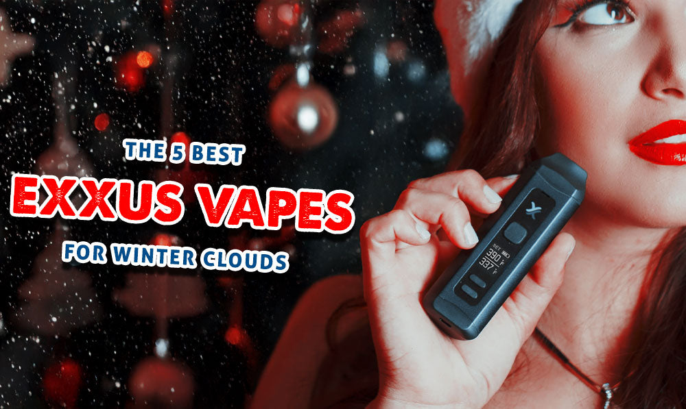 The 5 Best Exxus Vapes For Winter Clouds